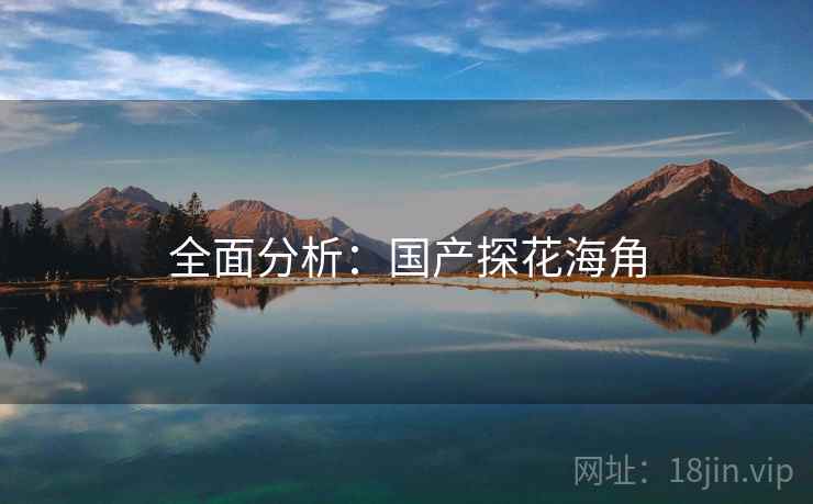 全面分析：国产探花海角