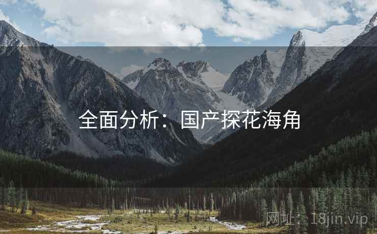 全面分析：国产探花海角