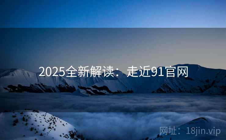 2025全新解读：走近91官网  第2张