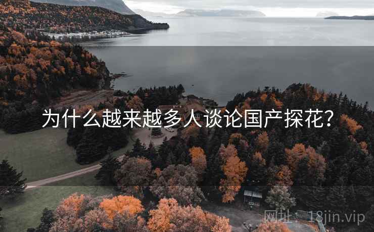 为什么越来越多人谈论国产探花？
