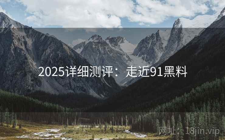 2025详细测评：走近91黑料