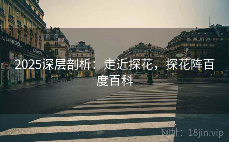 2025深层剖析：走近探花，探花阵百度百科