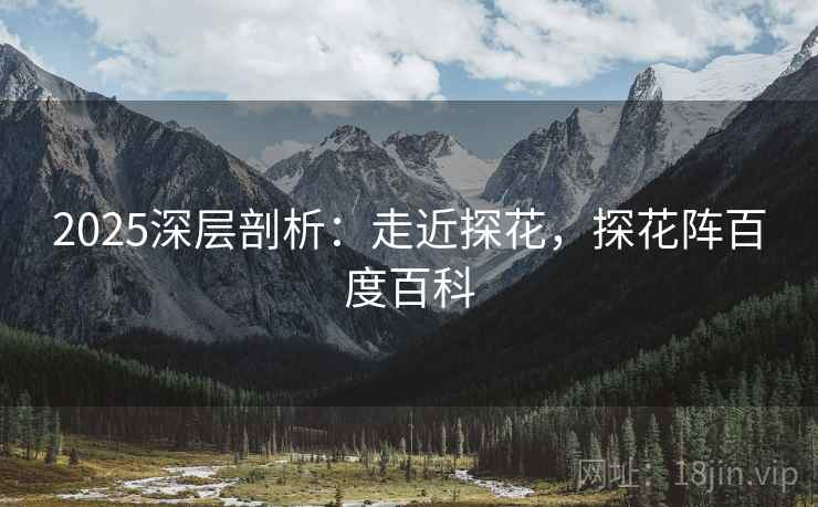 2025深层剖析：走近探花，探花阵百度百科