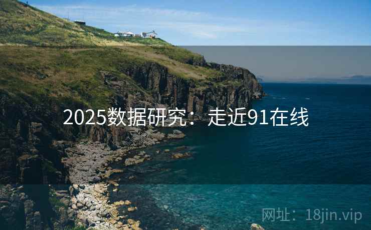 2025数据研究：走近91在线