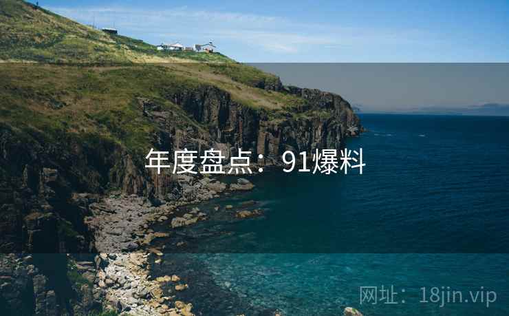 年度盘点：91爆料