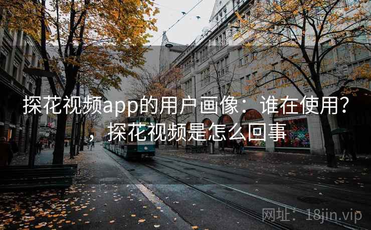 探花视频app的用户画像：谁在使用？，探花视频是怎么回事