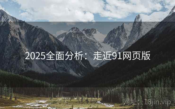 2025全面分析：走近91网页版