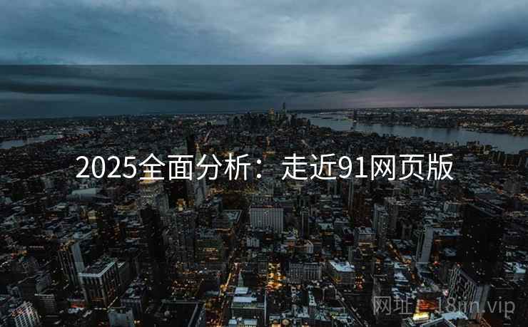 2025全面分析：走近91网页版