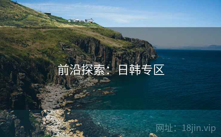 前沿探索：日韩专区