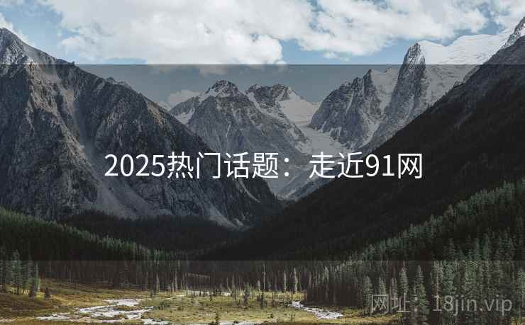 2025热门话题：走近91网