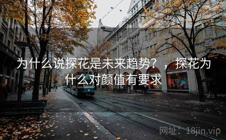 为什么说探花是未来趋势？，探花为什么对颜值有要求