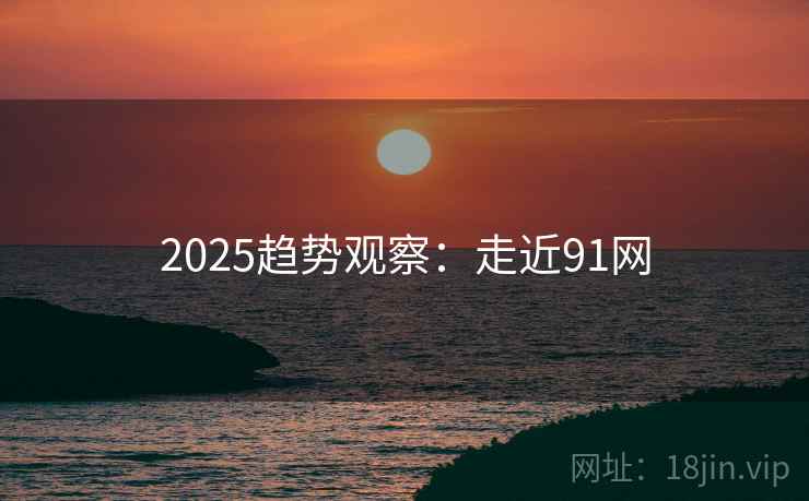 2025趋势观察：走近91网