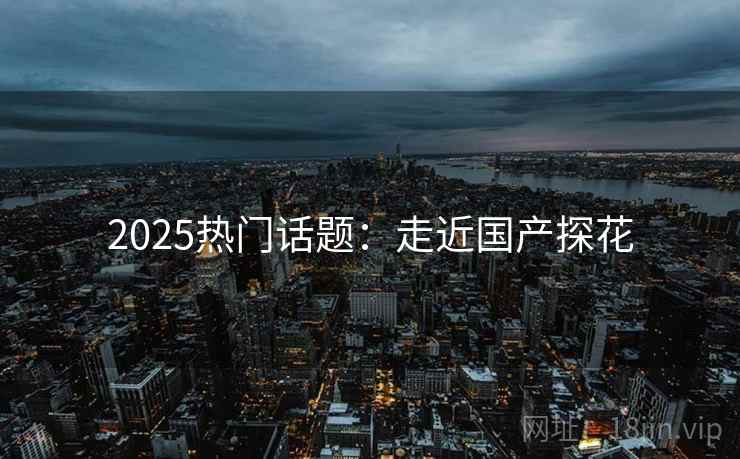 2025热门话题：走近国产探花
