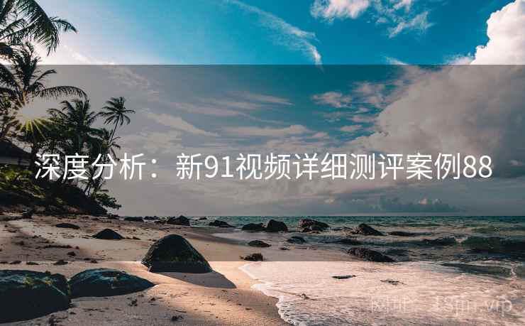 深度分析:新91视频详细测评案例88 第2张 深度分析:新91视频详细测评案例88 第2张